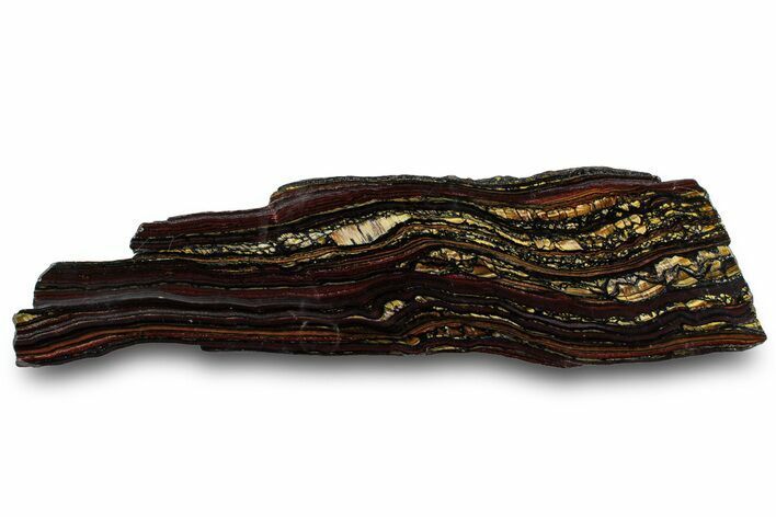 Polished Tiger Iron Stromatolite Slab - Billion Years #319396